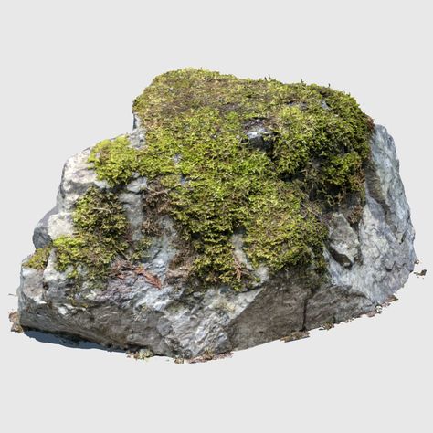 Moss On Rocks, Moss Drawing, Rocks Png, Moss Texture, Rock Png, Mossy Rocks, Forest Dragon, Photoshop Landscape, Nature Texture