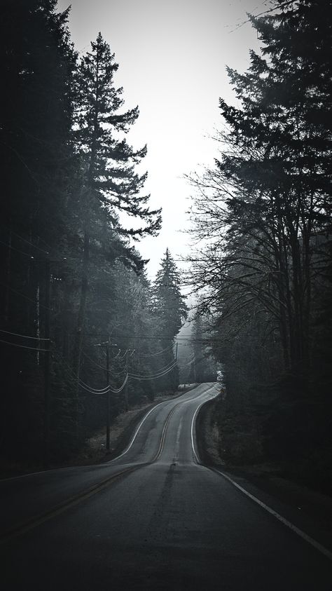 Dark Naturalism Aesthetic, Dark Black Wallpaper, Iphone Wallpaper Aesthetic, Twilight Photos, Dark Landscape, Wallpaper Iphone Wallpaper, Dark Nature Aesthetic, Forest Road, Night Scenery