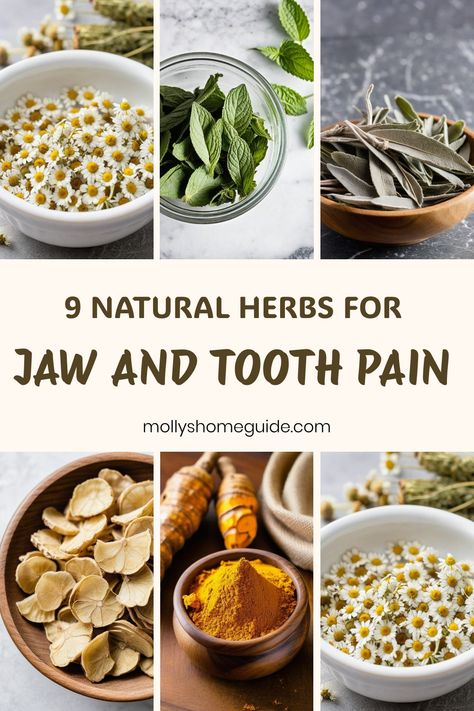 Explore the power of natural remedies for tooth and jaw pain with these effective DIY solutions. Find relief from toothaches using herbs, essential oils, and therapeutic ointments. Discover self-care practices for temporalis headaches and tooth infections to alleviate discomfort. Combat tooth abscesses and infections with gentle yet potent natural antibiotics. Say goodbye to wisdom tooth pain and embrace holistic healing methods for long-lasting relief. Diy Antibiotics For Tooth Infection, Natural Tooth Pain Relief, Pain Relief Essential Oils, Toothache Remedies, Wisdom Teeth Pain, Tooth Pain Relief, Tooth Ache, Tooth Ache Relief, Tooth Infection