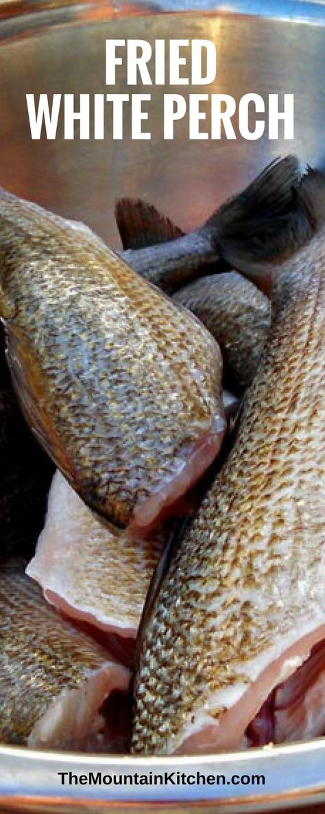 Fried White Perch ~ Fresh caught White perch battered in yellow cornmeal, salt and pepper then deep-fried until crispy golden brown. Taught by River Folks! Perch Recipes, White Perch, Perch Fish, Mountain Kitchen, Perch Fishing, Fish Bites, Fried Fish Recipes, Smoked Brisket, Fish Dinner