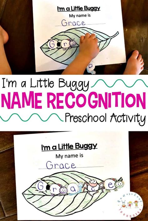 FREE I'm a Little Buggy Name Recognition Activity Name Recognition Activities, Preschool Insects, Preschool Bug Theme, April Themes, Spring Bugs, Name Activities Preschool, Preschool Binder, Insects Preschool, Preschool Names