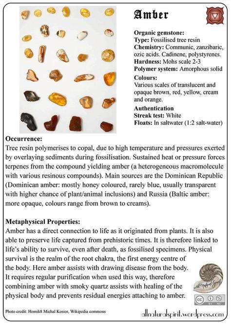 Amber Crystal Meaning, Amber Meaning, Crystal Identification, Crystal Tips, Animal Spirit Guides, Crystal Healer, Spirit Animals, Amber Crystal, Crystal Therapy