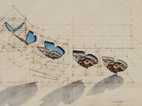 Wildly Detailed Drawings That Combine Math and Butterflies | Detail of the butterflies.  | Credit: Image: Rafael Araujo | From Wired.com Guiseppe Arcimboldo, Mathematical Drawing, Colossal Art, Blue Butterflies, Math Art, Butterfly Drawing, Detailed Drawings, Butterfly Art, Technical Drawing