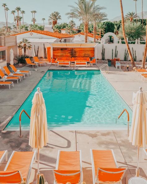 Ludwig Favre on Instagram: “#photography #accidentallywesanderson #lumixs1r #palmsprings #california #s1r #fisheyelemag PALM SPRINGS, CALIFORNIA 🌞⛱🍊” Stars D'hollywood, Mexican Border, Palm Spring, Agricultural Land, Redwood Forest, Palm Springs California, Mojave Desert, Central Valley, Wes Anderson