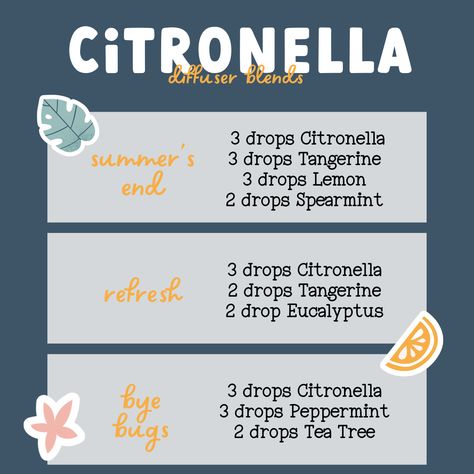 Citronella Diffuser Blend, Citronella Essential Oil Blends, Diy Citronella, Diffuser Blends Young Living, Doterra Diffuser, Citronella Essential Oil, Citronella Oil, Young Living Oils, Make Beauty