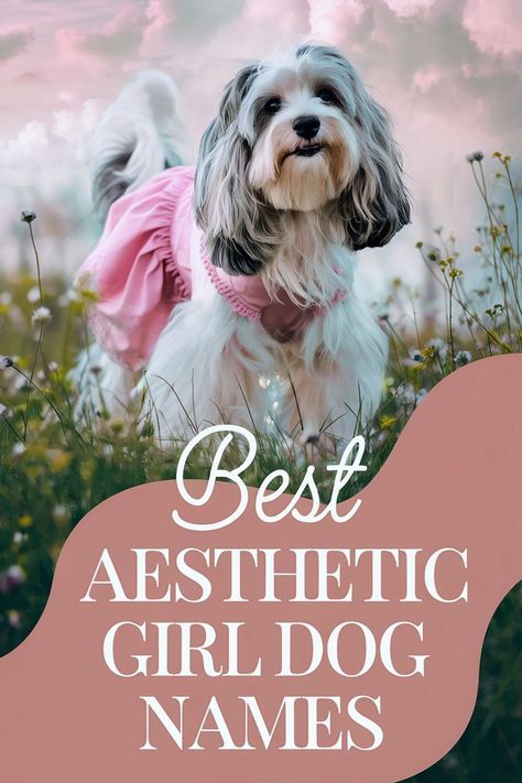 Cute dog wearing a pink dress stands in a field, with text overlay saying "Best Aesthetic Girl Dog Names". Dog Names Girl List, Names For Dogs Female, Cute Dog Names Female, Puppy Names Female, Strong Dog Names, Puppy Girl Names, Girl Pet Names, Girl Dog Names Unique, Puppies Names Female