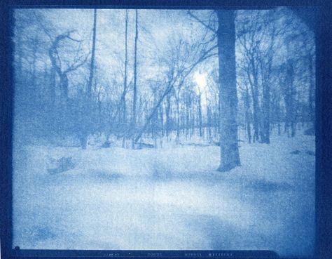 Cyanotype pinhole – A pinhole shot with my Vermeer 4×5 pinhole camera on Fuji Acros 100.  It is on Arches Platine, coating done with a brush (rather than glass rod on previous posting), and print exposure for 8 minutes.  I had one for 12 minutes and it was just way too dark.  A splash of hydrogen peroxide in the wash after developing. Pinhole Camera Photos, Diy Dye, Pinhole Camera, Hydrogen Peroxide, Photography And Videography, Printing Process, Photo Printing, Art Journal, Arch