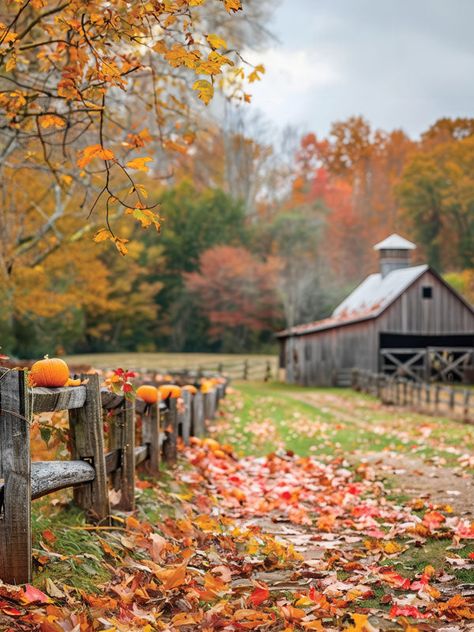 Rustic Autumn Barn Photography Backdrop - Photography backdrop featuring a rustic barn with a wooden fence lined with pumpkins Fall Leaves Photos, Mood Board Photography, Autumn Scenes Country Life, Barn Pictures Ideas, Autumn Scenery Landscape, Fall Backdrops For Pictures, Autumn Potpourri, Fall Wedding Leaves, Fall Homestead