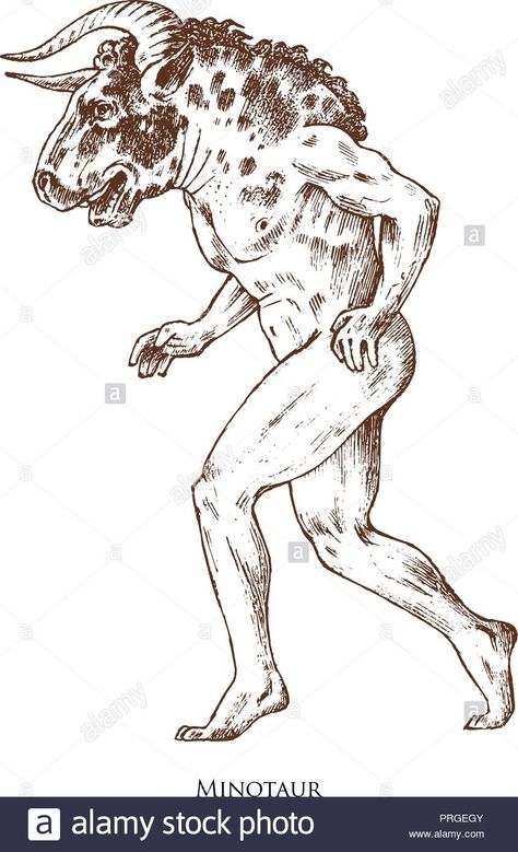 Download this stock vector: Mythical Minotaur. Mythological antique animal. Ancient man with a bull's head, fantastic creatures in the old vintage style. Engraved hand drawn old sketch. - PRGEGY from Alamy's library of millions of high resolution stock photos, illustrations and vectors. Minotaur Illustration, Minotaur Art, Tattoo Inspo, Old Vintage, Old Art, The Old, Vector Art, Stock Vector, Vintage Style