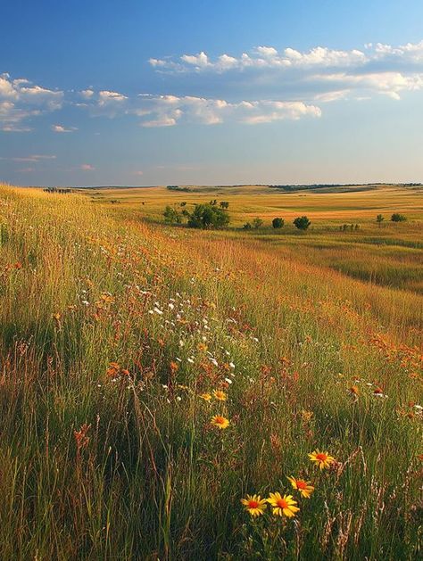 Kansas Landscape, Tallgrass Prairie National Preserve, Tallgrass Prairie, State Of Kansas, Photo Reference, Barn House, Adventure Awaits, Kansas, Art