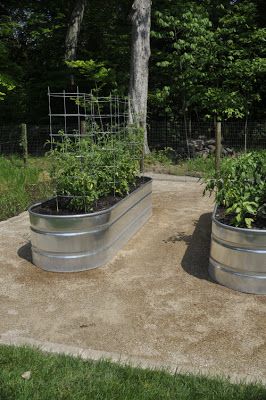 Galvanized Stock Tank Veggie Garden – Update | Thinking Outside the Boxwood Stock Tank Gardening, Galvanized Stock Tank, Raised Patio, Vegetable Planters, Garden Solutions, Patio Planters, Stock Tank, Metal Planters, Garden Seating