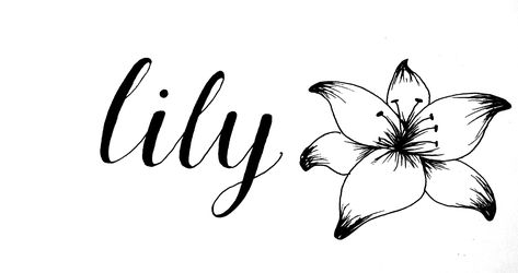 Calligraphy art, lily. Pretty simple didnt take much time:) Lily Lettering Name, Lily In Cursive, Lily Name Wallpaper, Lily Tattoo Name, Lily Name Art, Lily Name Aesthetic, Lily Name Tattoo, Word Art Aesthetic, Lily Calligraphy