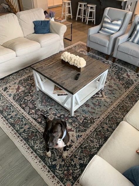 Ruggable Washable Rugs: An Honest, Unbiased Review | The Regular Folks Ruggable Farmhouse, Ruggable Rug Farmhouse, Ruggable Living Rooms Farmhouse, Ruggable Verena Dark Wood Rug, Ruggable Leelu Black & White Rug, Inexpensive Rugs, Pet Vacuum, Burgundy Rugs, Orange Rugs