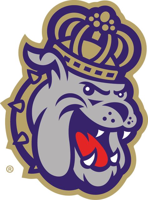 Jmu Dukes, Duke Logo, Thrift Flip Ideas, Formal Cooler Ideas, Football Usa, Bulldog Mascot, Secondary Logo, James Madison University, Sports Logo Design