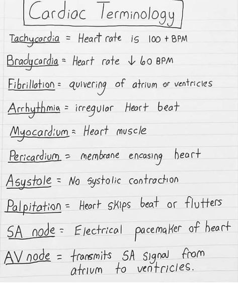 Nursing School Studying Cheat Sheets, Emt Study, Medical Terminology Study, Nursing School Life, Nurse Skills, Nursing School Inspiration, Medical Assistant Student, Nursing School Essential, Medical School Life