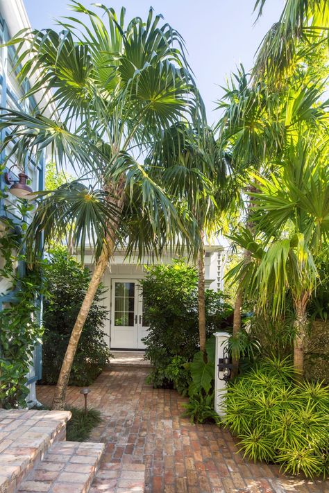 Green thatch palms provide shade, their silhouettes echoed by the understory, where the low, bushy shrub Osmoxylon lineare adds texture. Landscape Architecture Magazine, Modern Garden Design, Victorian Cottage, Garden Shrubs, Landscape Design Plans, Modern Landscape, Garden Architecture, Focal Points, Beach Gardens