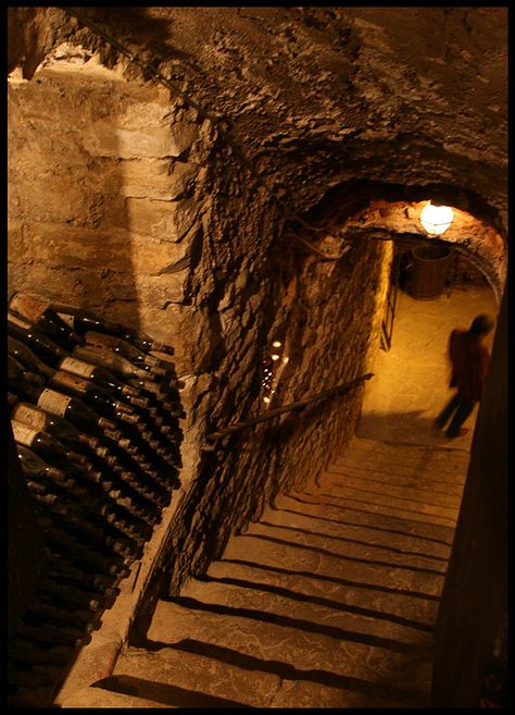 Wine Cellar Ideas, Underground Cellar, Cellar Ideas, Wine Cellar Basement, Wine Cave, Home Wine Cellars, Root Cellar, Wine Cellar Design, Wine Preserver