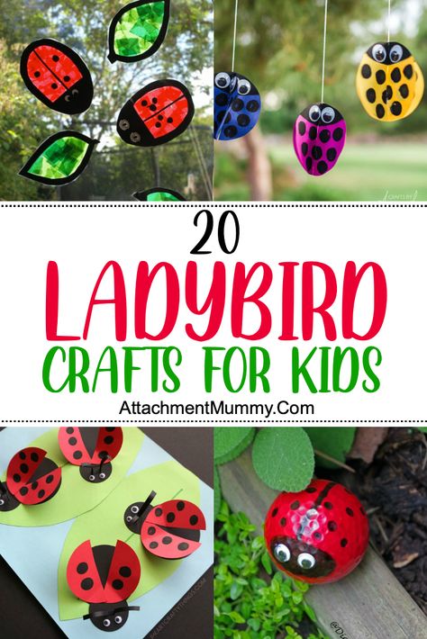 20 Super Cute Ladybird Crafts For Kids Ladybird Crafts For Kids, Unit Study Ideas, Ladybug Craft, Summer Camp At Home, Camp At Home, Cupcake Liner Crafts, Nature Camp, Library Crafts, Red Cupcakes