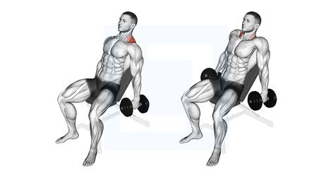 Traps Workout, Dumbbell Workouts, Incline Bench, Shoulder Injuries, Upper Body Strength, Improve Posture, Dumbbell Workout, Back Exercises, Muscle Groups