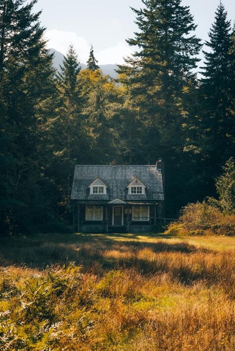 Charming Cottage in Fall Forest Setting · Free Stock Photo Best Collage App, Fall Cottage, Forest Photography, Cozy Autumn, Forest House, Fall Pictures, Halloween Pictures, Autumn Cozy, Like Instagram