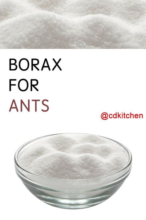 Borax For Ants - Have a problem with ants? Try this easy recipe to keep them at bay. Made with sugar, borax | CDKitchen.com Cleaning Aluminum Pans, Ant Killer Borax, Borax To Kill Ants, Ant Killer Natural, Kill Ants Naturally, Borax For Ants, Ant Poison, Ant Killer Recipe, How To Clean Aluminum