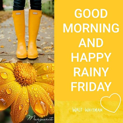 Happy Rainy Friday, Happy Rainy Day, Rainy Friday, G Morning, Happy Friday Quotes, Messages For Friends, Friday Quotes, Its Friday Quotes, Friday Morning