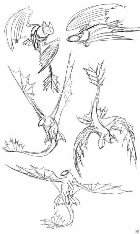 Dragon Poses, Dragon Anatomy, Httyd Art, Dragon Sketch, Creature Drawings, Fantasy Creatures Art, Dragon Artwork, Arte Sketchbook, Concept Art Drawing