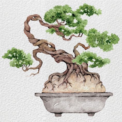 Bonsai tree illustration Bonsai Tree Illustration, Bonsai Tree Painting, Trees Illustration, Illustration Tree, Japanese Tree, Japanese Bonsai, Japanese Minimalism, Tree Artwork, Traditional Japanese Art