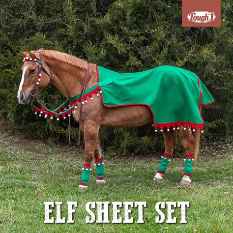 Tis’ the season! Get your horses festive in our holiday horsewear. Swipe to see our elf set too. Linked to learn more! #tough1 Christmas Costumes For Horses, Grinch Horse Costume, Horses In Christmas Parade, Pony Christmas Costume, Horse Christmas Parade Ideas, Horse Christmas Parade, Christmas Horse Costumes, Horse Christmas Costume, Christmas Horse Photoshoot