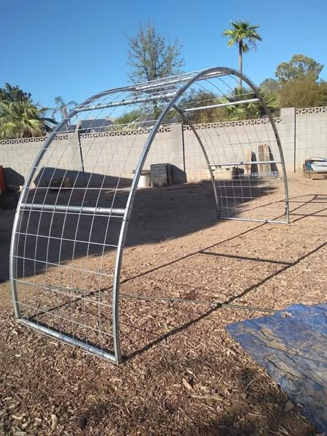 Trampoline Frame Arbor, Greenhouse From Trampoline Frame, Trampoline Archway, Recycle Trampoline Ideas, Trampoline Arch, Trampoline Trellis, Trampoline Garden Ideas, Trampoline Frame Repurpose, Trampoline Repurpose Ideas