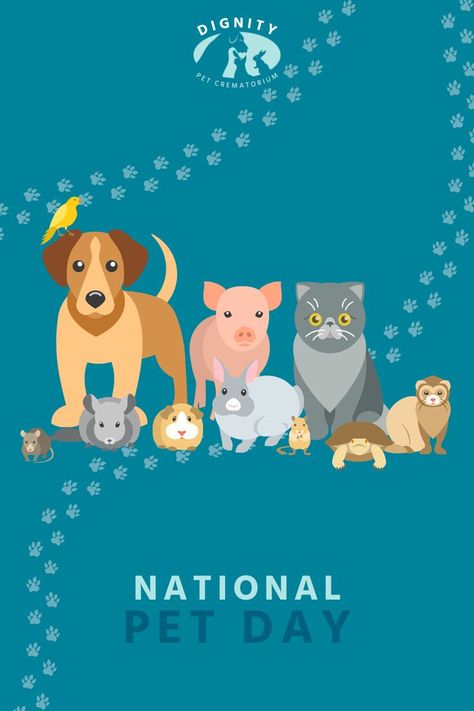 Celebrating pets of all shapes and sizes today for National Pet Day. Which animals are you spending today with? Or maybe your looking back at memories of the pets you've welcomed into your life over the years. National Pet Day 2024, National Pet Day, National Days, Pet Day, All Shapes, Holiday Specials, Looking Back, Over The Years, Holidays