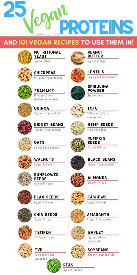 A graphic showing the top 25 vegan protein sources. Veg High Protein Diet, Plant Based Tips, How To Get Protein As A Vegan, Veg High Protein Food, Plant Protein Snacks, Plant Based Bulking Meals, Plant Based Muscle Building Diet, High Protein Vegan Snacks On The Go, Vegan Protein Ideas