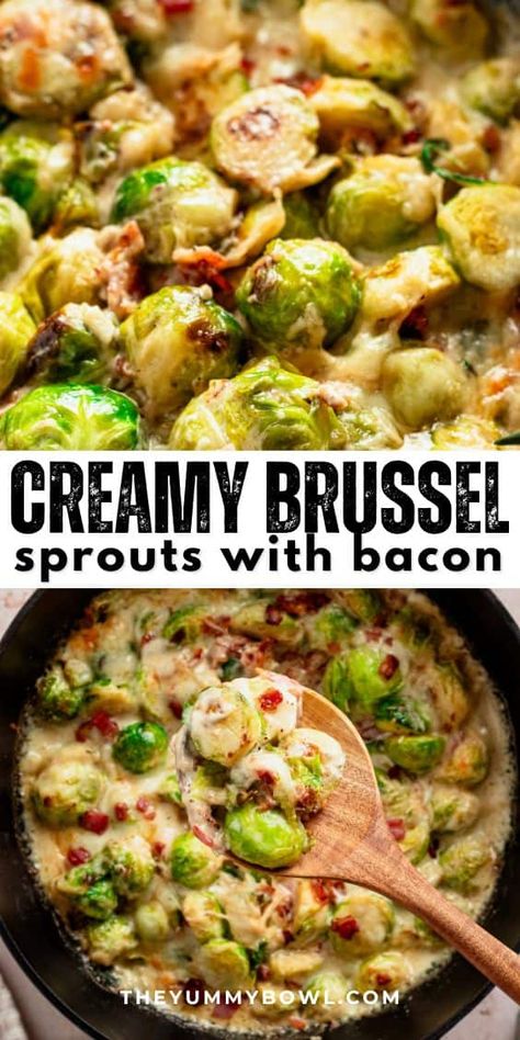 Enjoy this simple creamy Brussels sprouts with bacon. It's creamy, bubbly goodness with lots of green veggies. Get ready to win over everyone, whether they love veggies or need a little convincing! Alfredo Sauce Video, Brussel Sprout Side Dish, Creamy Brussel Sprouts, Brussel Sprouts Recipes Easy, Garlic Alfredo Sauce, Sauce Video, Bacon Brussel Sprouts, Creamy Parmesan, Sprouts With Bacon