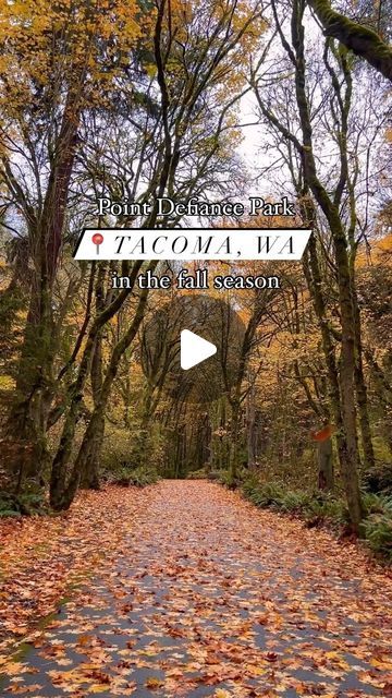 Metro Parks Tacoma on Instagram: "Who is excited for fall this year? 🍁🍂 

Location: Five Mile Drive in Point Defiance Park 

.
.
.
#fallseason #tacomaviews #pointdefiance #pointdefiancepark #ptdefiance #ptdefiancepark #tacomaphotographer #tacomaphotography #tacomawashington #tacomawa #tacoma_wa #fivemiledrive" Point Defiance Park, Excited For Fall, Tacoma Washington, Tacoma Wa, Drive In, Beautiful Scenery, Washington State, Fall Season, Travel Inspiration