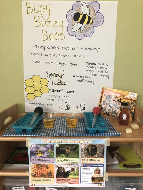 Honey bee theme science Bee Inquiry, Honey Bee Theme, Insects Preschool, Bee Activities, Eyfs Activities, Garden Activities, Nursery Activities, Blue Birds, School Age