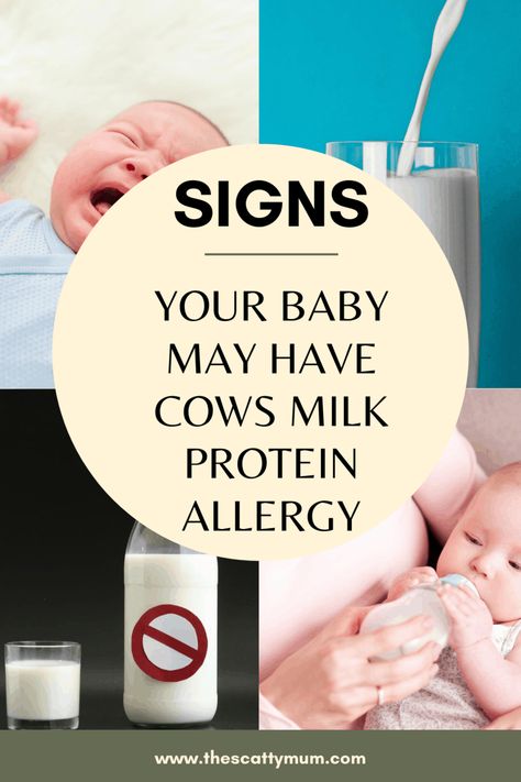 Signs Your Baby May Have Cows Milk Protein Allergy - The Scatty Mum Cows Milk Protein Allergy Baby, Milk Protein Allergy Diet, Milk Protein Allergy Diet Breastfeeding, Dairy Allergy Baby, Dairy Intolerance Symptoms, Milk Allergy Baby, Milk Allergy Symptoms, Dairy Allergy Symptoms, Cows Milk Protein Allergy