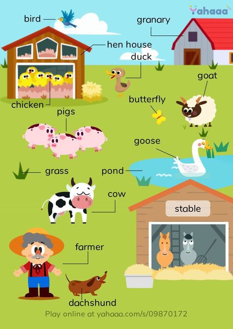 House Duck, Study Vocabulary, Animal Vocabulary, Teach English To Kids, English Posters, Kindergarten Reading Activities, Grammar For Kids, English Activities For Kids, Learning English For Kids