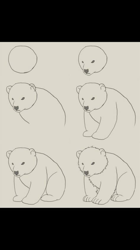 Polar Bear Drawing, Early Learning Activities, Bear Drawing, Locked Wallpaper, Art How, Window Painting, Polar Bears, Cute Easy Drawings, Learn To Draw