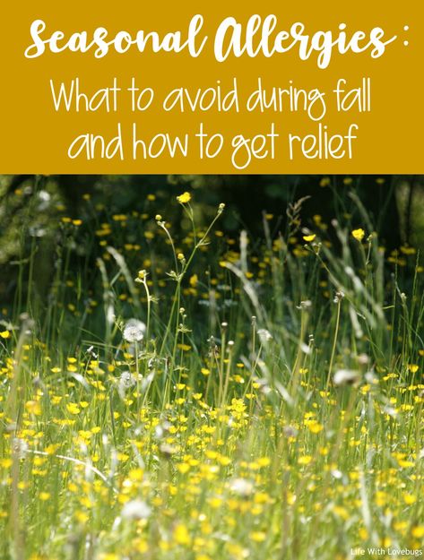 Seasonal Allergies: What to avoid during fall and how to get relief! Fall Allergies, Natural Remedies For Allergies, Allergy Remedies, Hay Fever, Watery Eyes, Allergy Relief, Seasonal Allergies, Allergy Symptoms, Runny Nose