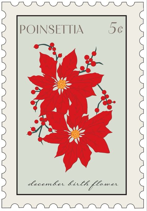 December birth flower poinsettias sticker stamp Poinsettia Drawing, December Flowers, December Flower, December Birth Flower, October Birth Flowers, Painting References, Gift Inspo, Lock Screens, Poinsettia Flower