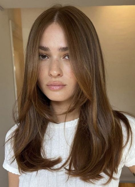 Honey Brown Hair, Brown Hair Looks, Brown Hair Inspo, Hairstyles For Layered Hair, Long Brown Hair, Haircuts For Medium Hair, Haircuts Straight Hair, Hair Inspo Color, Medium Length Hair Cuts