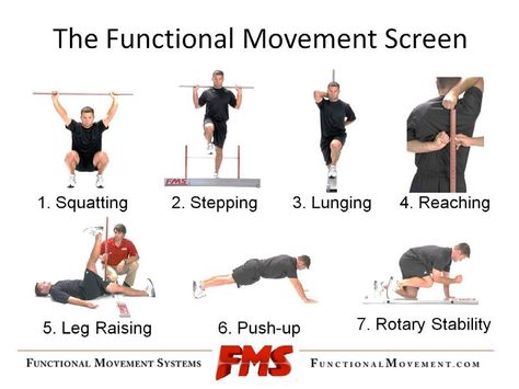 FMS: Functional Movement Systems | FlexibilityRx™ - Performance Based… Hybrid Training, Fitness Knowledge, Sport Medicine, Fitness Assessment, Functional Exercises, Exercise Science, Functional Movement, Functional Workouts, Exercise Physiology