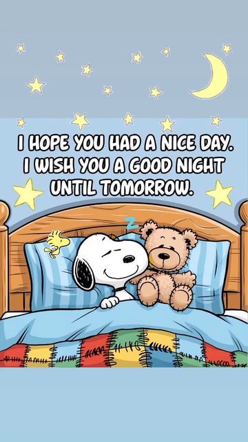 Funny Snooopy on Instagram: "Good night everyone 🌙💤" Funny Goodnight Images, Snoopy Evening, Funny Good Night Images Laughing, Good Night Funny Quotes, Nap Time Funny, Cellphone Clipart, Funny Good Night Pictures, Peanuts Snoopy Quotes, Good Day Gif