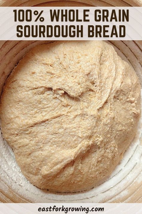 Use these simple tips to make a fluffy, delicious, 100% whole grain sourdough bread. No more bricks. Whole Grain Sourdough Bread Recipe, Wheat Sourdough Bread Recipe, Easiest Bread Recipe No Yeast, Simple Sweet Bread Recipe, Whole Grain Sourdough, Whole Wheat Sourdough Bread, Wheat Sourdough Bread, Whole Wheat Blueberry Muffins, Wheat Flour Recipes