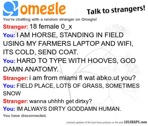 Omegle Funny, Asthma Attack, Funny Chat, Hilarious Stuff, Talk To Strangers, Smosh, Music Mood, Funny Picture Quotes, Best Pictures