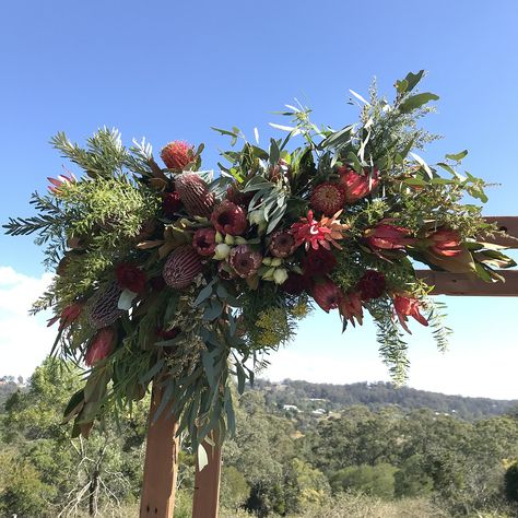 Native Wedding Flowers, Native Flower Arrangements, Australian Native Arbour, Native Wedding Arbour, Farm Wedding Australian, Wedding Arbour Flowers, Native Flower Arbour, Native Arbour Flowers, Australian Native Arbour Flowers