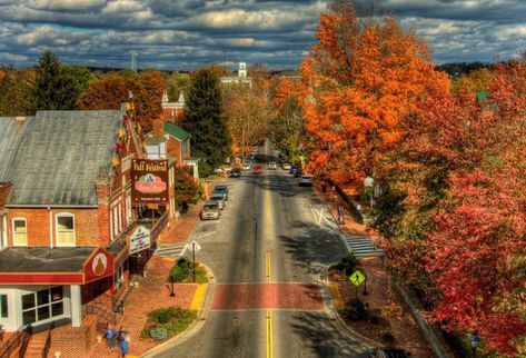 Abingdon Va, Abingdon Virginia, Virginia Creeper Trail, Virginia Creeper, Virginia Travel, Virginia Is For Lovers, Relaxing Vacations, October 20, Fall Foliage