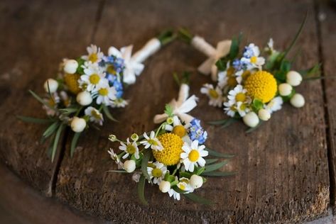 Chamomile Wedding Centerpieces, Wild Flower Wedding Boutonniere, Chamomile Boutonniere, Yellow And Blue Boutonniere, Blue And Yellow Wildflower Wedding, Wild Flower Button Holes, Wild Flower Boutonniere, Delphinium Boutonniere, Blue And Yellow Wedding Flowers