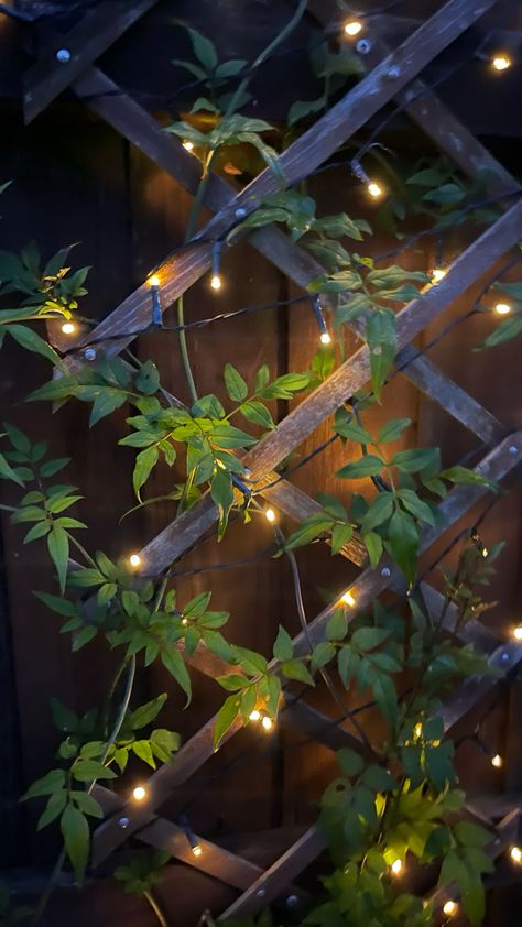 Garden fairy lights with climbing jasmine Fairy Lights Terrace, Small Garden Decoration Ideas Diy, Fairy Lights Plants, Firefly Garden Lights, Fairy Lights Garden Outdoor, Fenceline Garden, Balcony Fairy Lights, Fairy Lights Outside, Backyard Fairy Lights