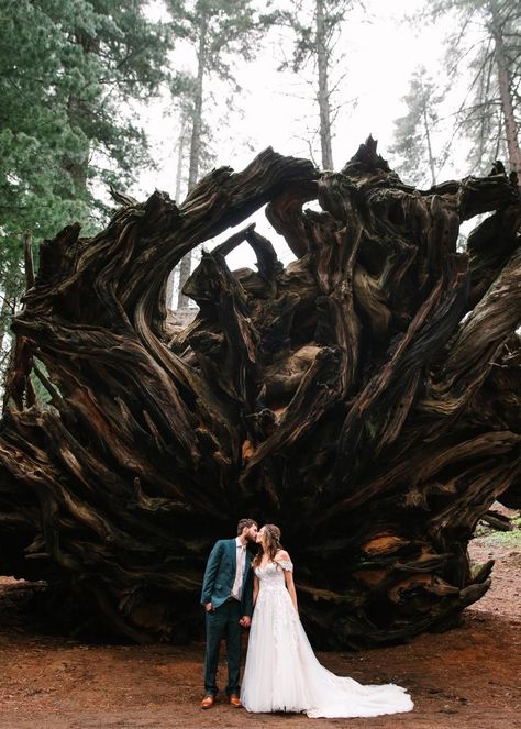 Sequoia Engagement Photos, Sequoia National Park Engagement Photos, Sequoia National Park Elopement, Sequoia National Park Wedding, Sequoia Wedding, Private Vows, Redwood Wedding, Foggy Day, National Park Elopement